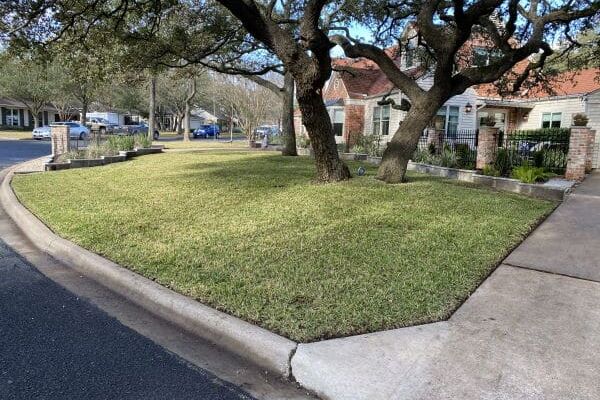 Lawn Care, Lawn Maintenance, and Landscaping Services in Austin